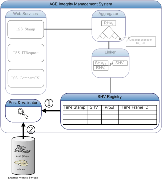 AcePrototypeWitnessValidation web.gif