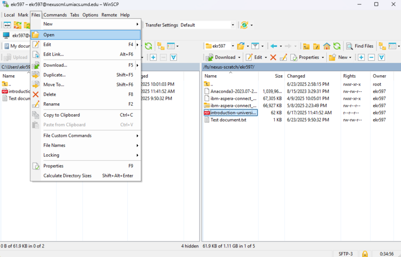 File:WinSCP open file.png